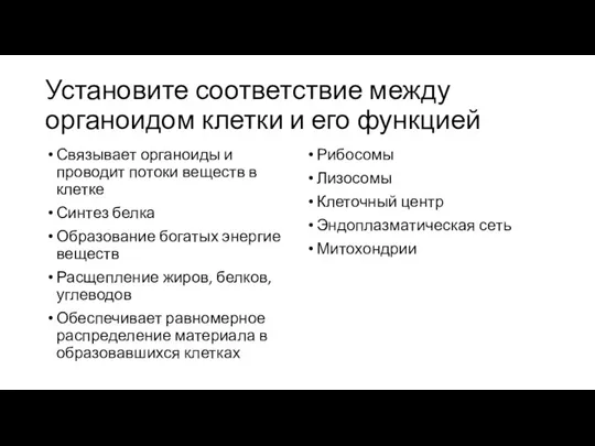 Установите соответствие между органоидом клетки и его функцией Связывает органоиды и проводит