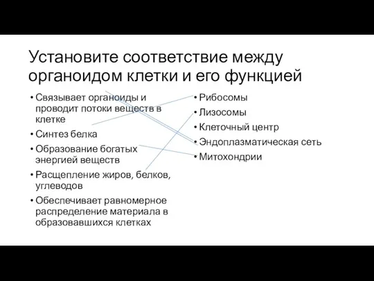 Установите соответствие между органоидом клетки и его функцией Связывает органоиды и проводит