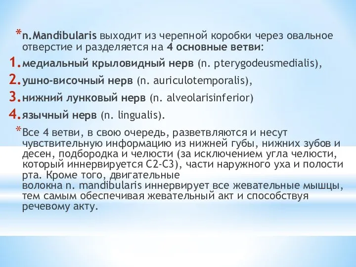 n.Mandibularis выходит из черепной коробки через овальное отверстие и разделяется на 4