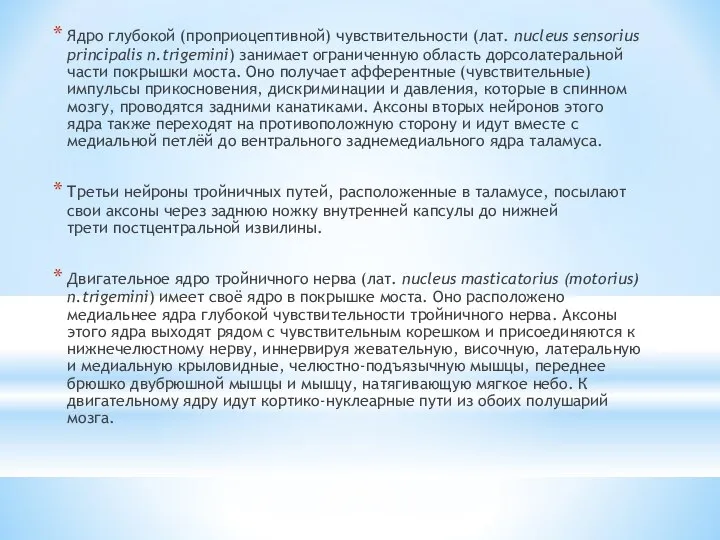 Ядро глубокой (проприоцептивной) чувствительности (лат. nucleus sensorius principalis n.trigemini) занимает ограниченную область