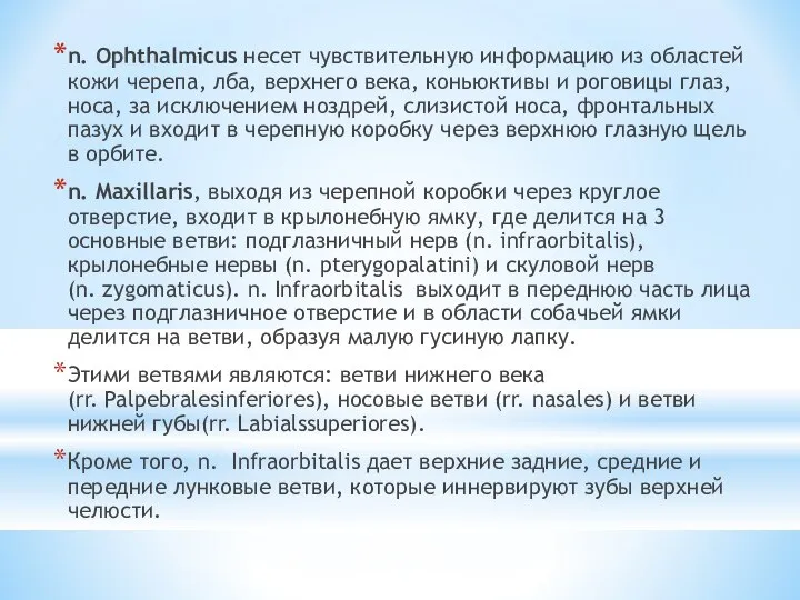 n. Ophthalmicus несет чувствительную информацию из областей кожи черепа, лба, верхнего века,