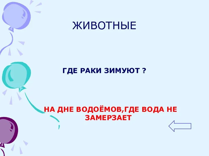 ЖИВОТНЫЕ ГДЕ РАКИ ЗИМУЮТ ? НА ДНЕ ВОДОЁМОВ,ГДЕ ВОДА НЕ ЗАМЕРЗАЕТ