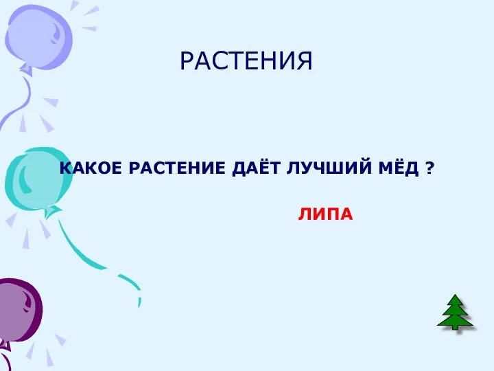 РАСТЕНИЯ КАКОЕ РАСТЕНИЕ ДАЁТ ЛУЧШИЙ МЁД ? ЛИПА