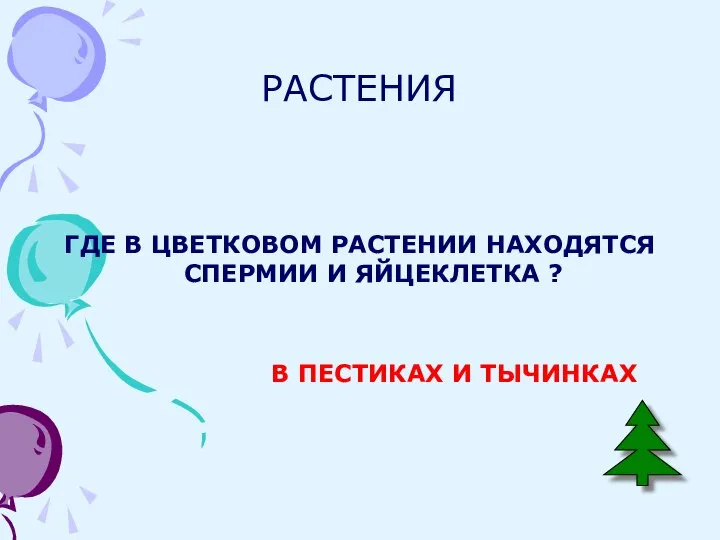 РАСТЕНИЯ ГДЕ В ЦВЕТКОВОМ РАСТЕНИИ НАХОДЯТСЯ СПЕРМИИ И ЯЙЦЕКЛЕТКА ? В ПЕСТИКАХ И ТЫЧИНКАХ