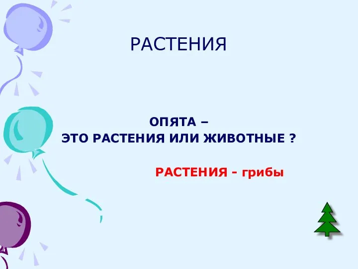 РАСТЕНИЯ ОПЯТА – ЭТО РАСТЕНИЯ ИЛИ ЖИВОТНЫЕ ? РАСТЕНИЯ - грибы