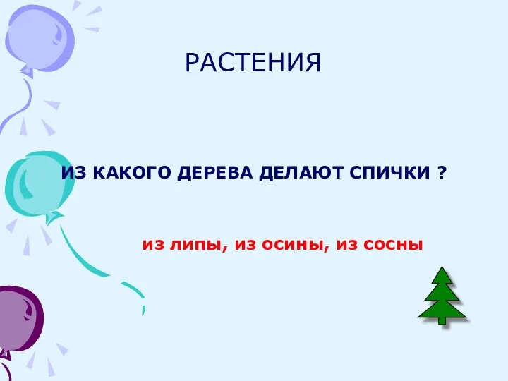 РАСТЕНИЯ ИЗ КАКОГО ДЕРЕВА ДЕЛАЮТ СПИЧКИ ? из липы, из осины, из сосны