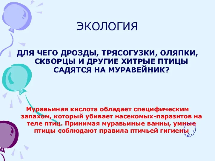 ЭКОЛОГИЯ ДЛЯ ЧЕГО ДРОЗДЫ, ТРЯСОГУЗКИ, ОЛЯПКИ, СКВОРЦЫ И ДРУГИЕ ХИТРЫЕ ПТИЦЫ САДЯТСЯ