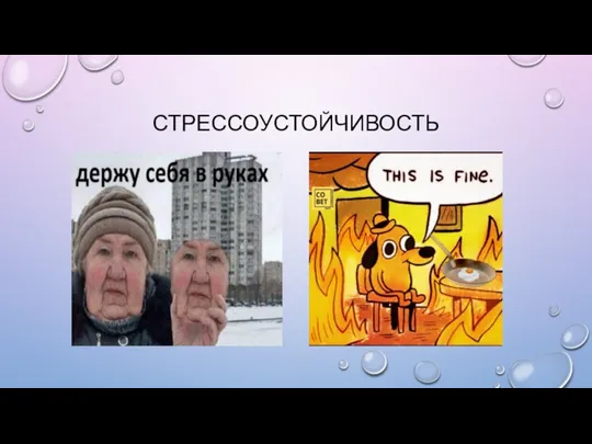 СТРЕССОУСТОЙЧИВОСТЬ