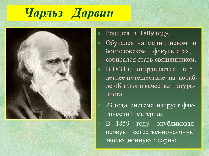 Чарльз Дарвин Родился в 1809 году. Обучался на медицинском и богословском факультетах,