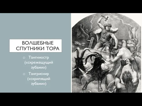 ВОЛШЕБНЫЕ СПУТНИКИ ТОРА Тангниостр («скрежещущий зубами») Тангриснир («скрипящий зубами»)