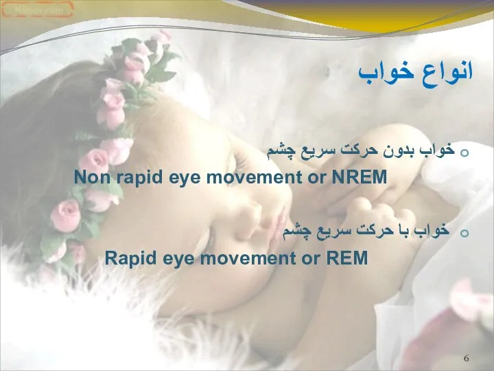 انواع خواب خواب بدون حرکت سریع چشم Non rapid eye movement or