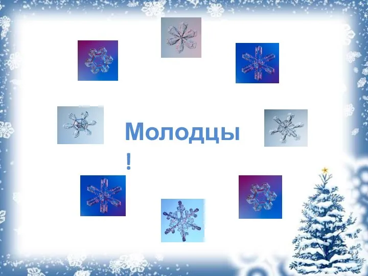 Молодцы!