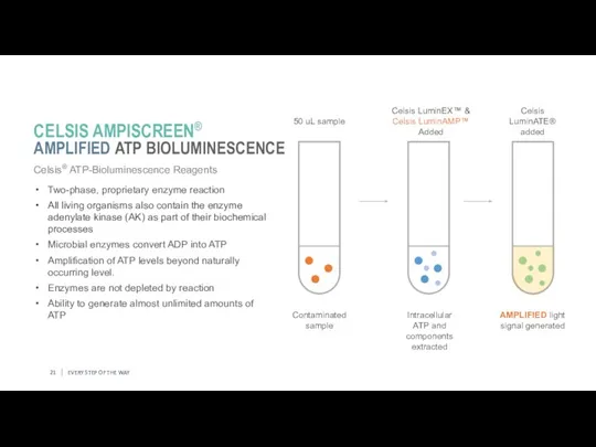 EVERY STEP OF THE WAY Celsis® ATP-Bioluminescence Reagents Two-phase, proprietary enzyme reaction