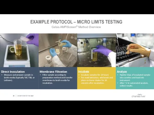 EVERY STEP OF THE WAY EXAMPLE PROTOCOL – MICRO LIMITS TESTING Celsis