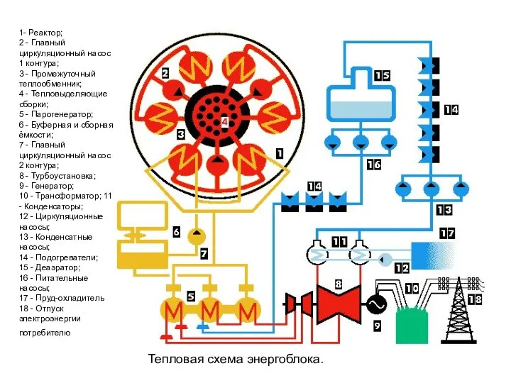 1- Реактор; 2 - Главный циркуляционный насос 1 контура; 3 - Промежуточный