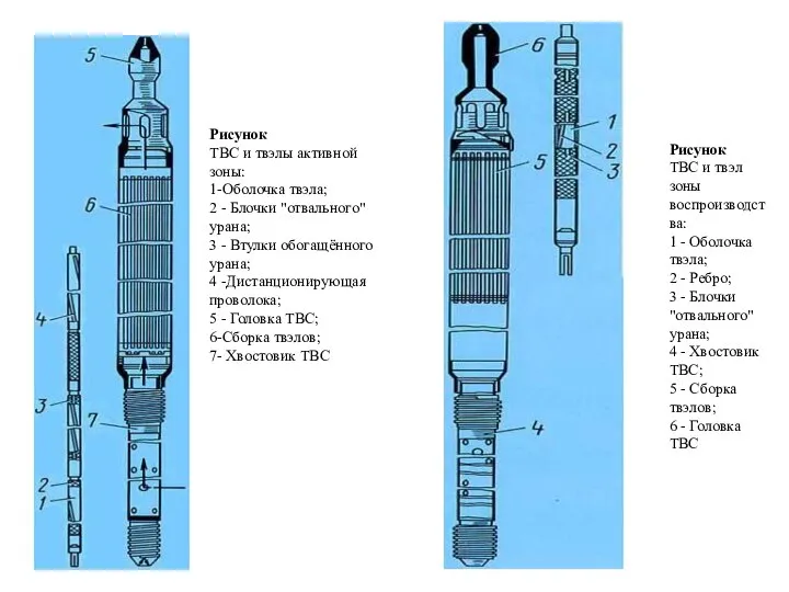 Рисунок ТВС и твэлы активной зоны: 1-Оболочка твэла; 2 - Блочки "отвального"