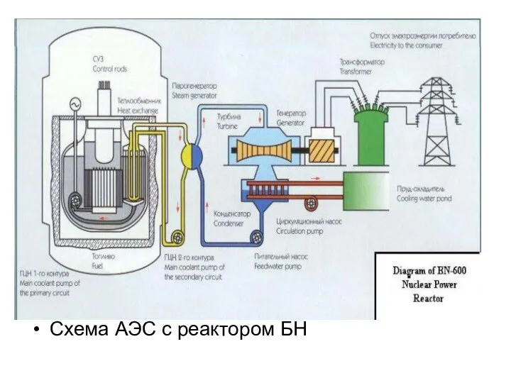 Схема АЭС с реактором БН