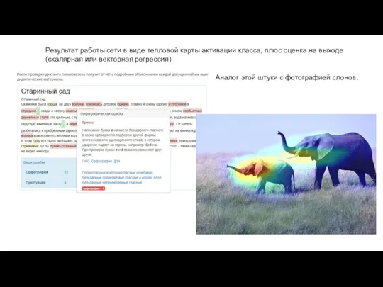 Результат работы сети в виде тепловой карты активации класса, плюс оценка на