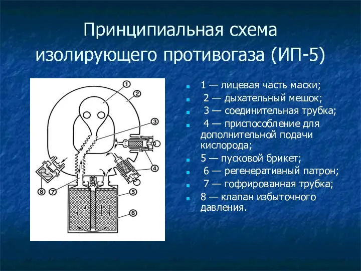 Принципиальная схема изолирующего противогаза (ИП-5) 1 — лицевая часть маски; 2 —