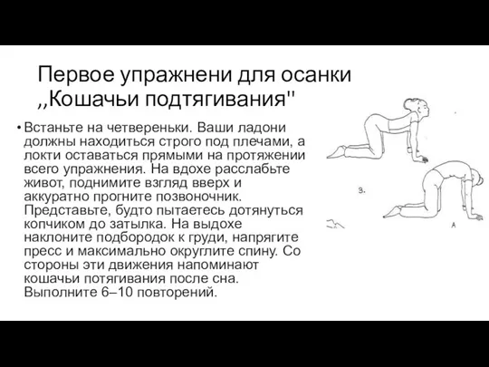 Первое упражнени для осанки ,,Кошачьи подтягивания'' Встаньте на четвереньки. Ваши ладони должны