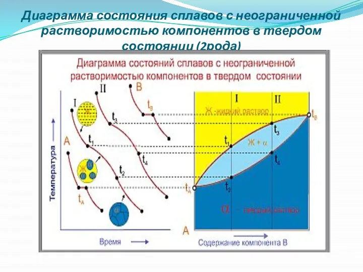 Диаграмма состояния сплавов с неограниченной растворимостью компонентов в твердом состоянии (2рода)