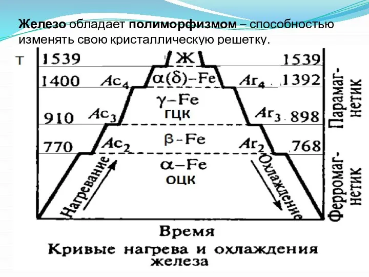 Железо обладает полиморфизмом – способностью изменять свою кристаллическую решетку.