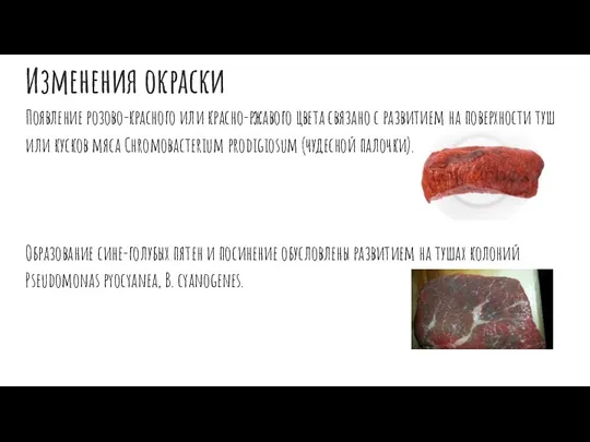 Изменения окраски Появление розово-красного или красно-ржавого цвета связано с развитием на поверхности