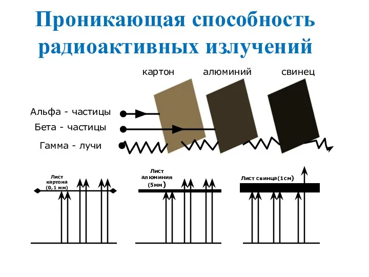 Проникающая способность радиоактивных излучений Лист картона (0,1 мм)