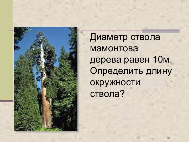 Диаметр ствола мамонтова дерева равен 10м. Определить длину окружности ствола?