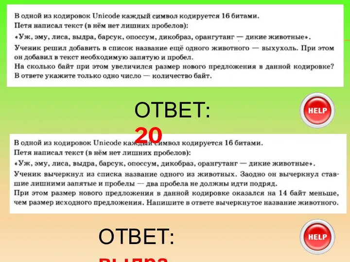 ОТВЕТ: 20 ОТВЕТ: выдра