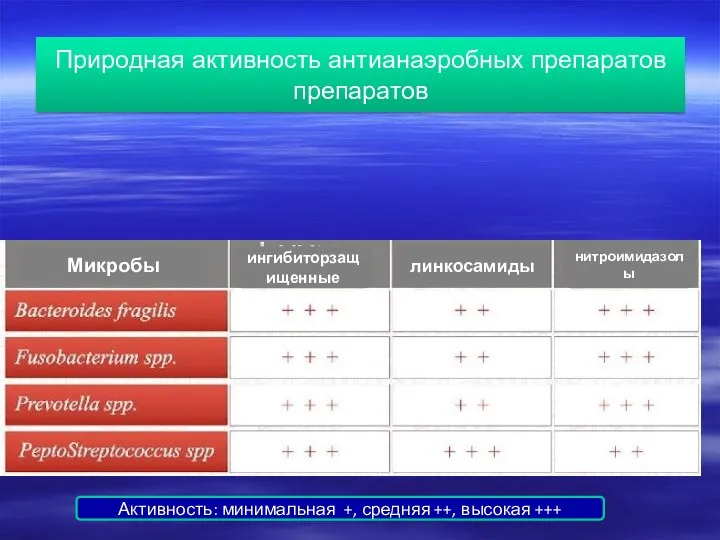 Природная активность антианаэробных препаратов препаратов Активность: минимальная +, средняя ++, высокая +++ Микробы ингибиторзащищенные линкосамиды нитроимидазолы