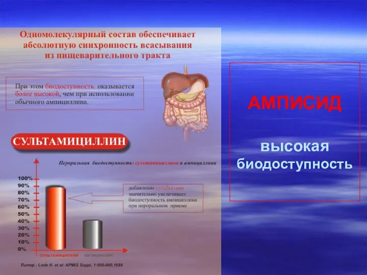 АМПИСИД высокая биодоступность