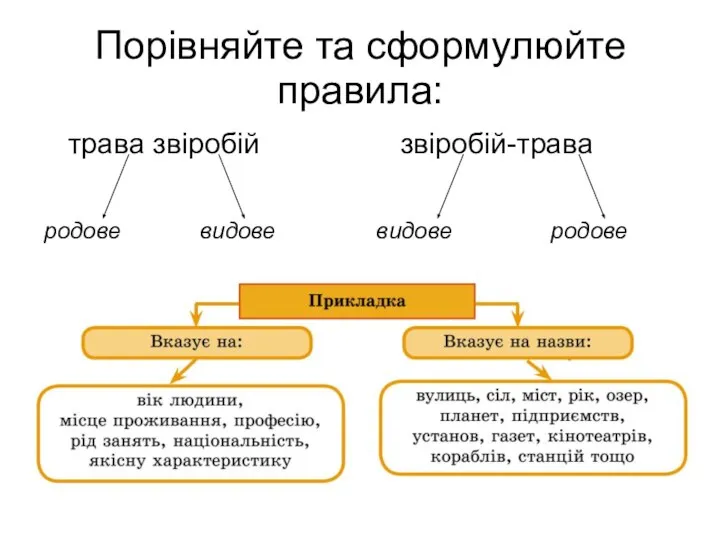 Порівняйте та сформулюйте правила: трава звіробій родове видове звіробій-трава видове родове