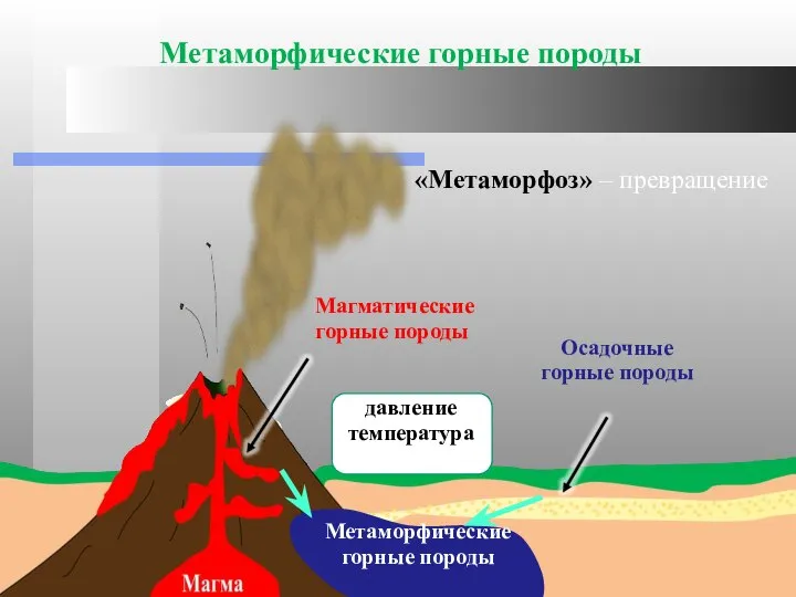 Метаморфические горные породы Магматические горные породы Осадочные горные породы Метаморфические горные породы