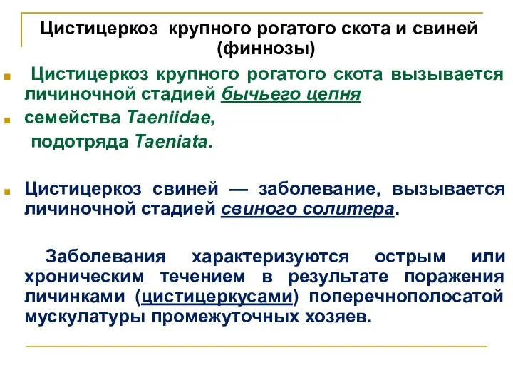 Цистицеркоз крупного рогатого скота и свиней (финнозы) Цистицеркоз крупного рогатого скота вызывается