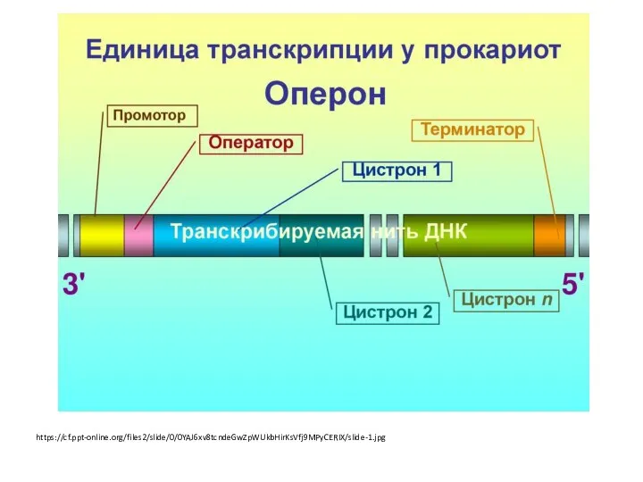 https://cf.ppt-online.org/files2/slide/0/0YAJ6xv8tcndeGwZpWUkbHirKsVfj9MPyCERIX/slide-1.jpg