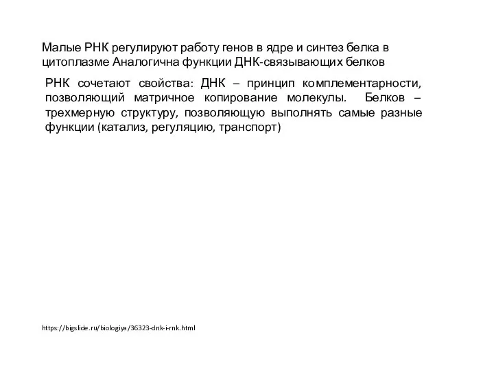 Малые РНК регулируют работу генов в ядре и синтез белка в цитоплазме