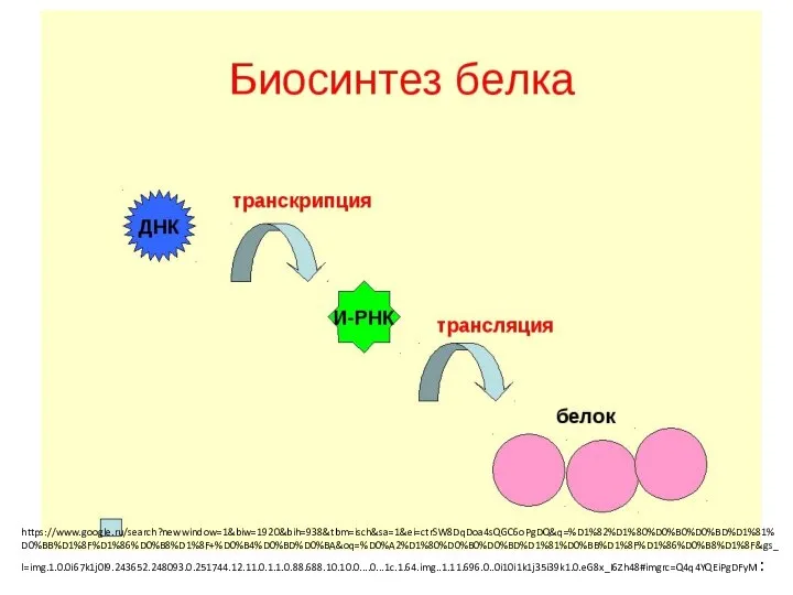 https://www.google.ru/search?newwindow=1&biw=1920&bih=938&tbm=isch&sa=1&ei=ctrSW8DqDoa4sQGC6oPgDQ&q=%D1%82%D1%80%D0%B0%D0%BD%D1%81%D0%BB%D1%8F%D1%86%D0%B8%D1%8F+%D0%B4%D0%BD%D0%BA&oq=%D0%A2%D1%80%D0%B0%D0%BD%D1%81%D0%BB%D1%8F%D1%86%D0%B8%D1%8F&gs_l=img.1.0.0i67k1j0l9.243652.248093.0.251744.12.11.0.1.1.0.88.688.10.10.0....0...1c.1.64.img..1.11.696.0..0i10i1k1j35i39k1.0.eG8x_I6Zh48#imgrc=Q4q4YQEiPgDFyM: