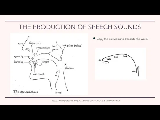 THE PRODUCTION OF SPEECH SOUNDS http://www.personal.rdg.ac.uk/~llsroach/phon2/artic-basics.htm Copy the pictures and translate the words