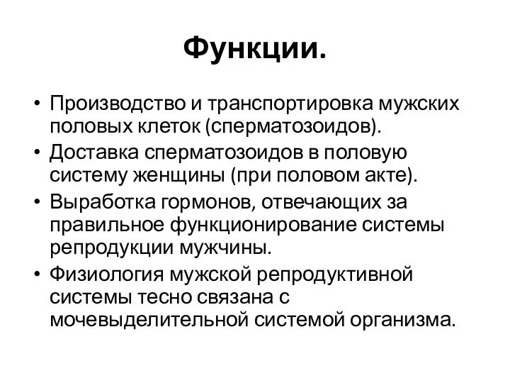 Функции. Производство и транспортировка мужских половых клеток (сперматозоидов). Доставка сперматозоидов в половую