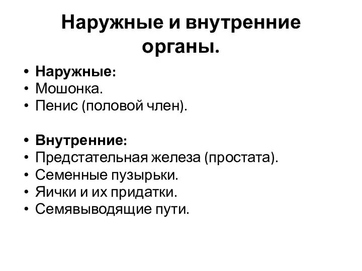 Наружные и внутренние органы. Наружные: Мошонка. Пенис (половой член). Внутренние: Предстательная железа