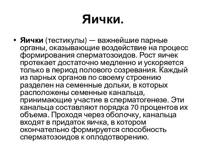 Яички. Яички (тестикулы) — важнейшие парные органы, оказывающие воздействие на процесс формирования