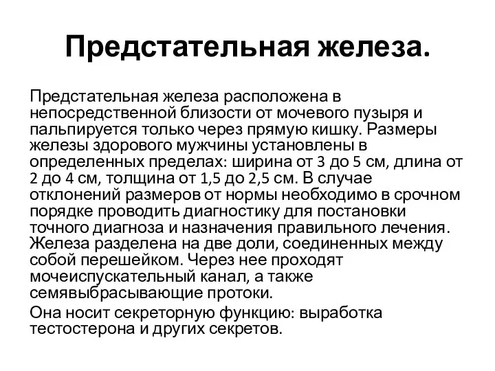 Предстательная железа. Предстательная железа расположена в непосредственной близости от мочевого пузыря и