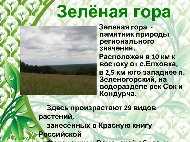 Зелёная гора Зеленая гора - памятник природы регионального значения. Расположен в 10