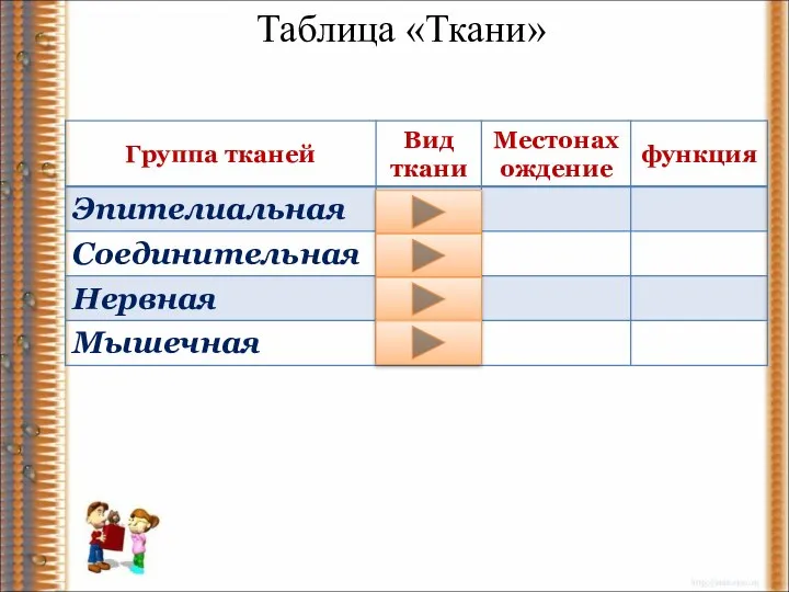 Таблица «Ткани»