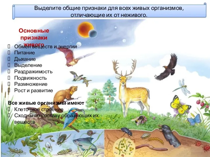 Выделите общие признаки для всех живых организмов, отличающие их от неживого. Основные