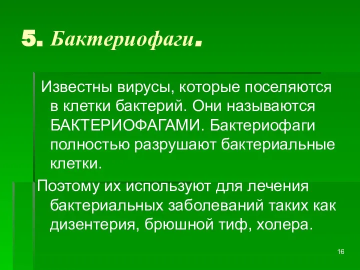 5. Бактериофаги. Известны вирусы, которые поселяются в клетки бактерий. Они называются БАКТЕРИОФАГАМИ.