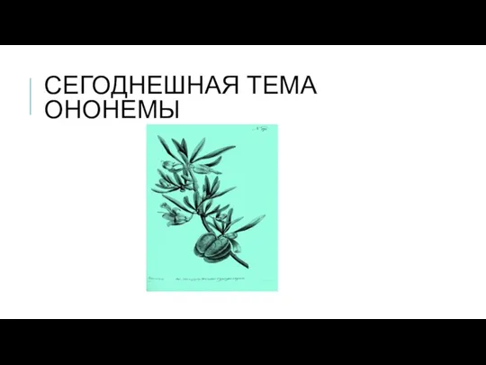 СЕГОДНЕШНАЯ ТЕМА ОНОНЕМЫ