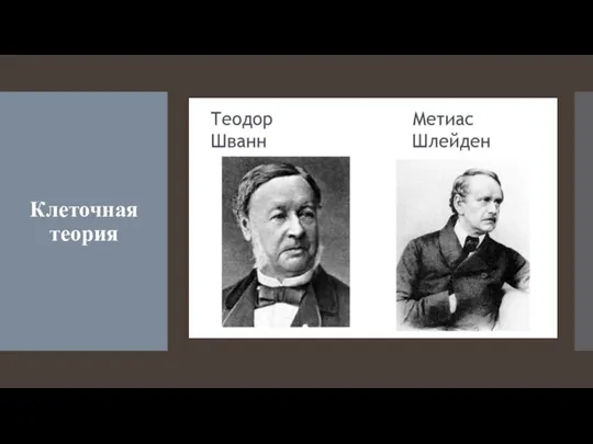 Клеточная теория