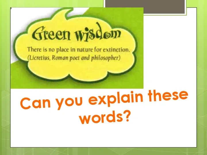 Can you explain these words?